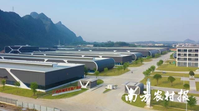 图为粤桂协作打造的来宾忻城茧丝绸产业集群。