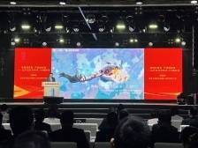 解码岭南：广东数字创意产业何以领跑全国？｜文化观察