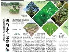 耕植正忙 绿美阳东上新丨一文速览《南方日报·阳东视窗》第15期