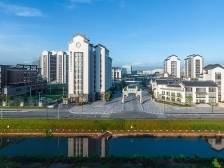 从拓荒到引领：华发教育二十余载的湾区答卷