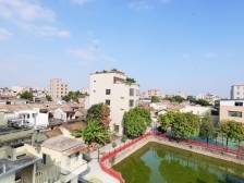 白云区建南村：鲜果吃出圈，非遗走出村｜广州百村观察