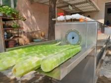 “金牌莞味”三博会大调研⑥｜净菜神器成明星，厨房助手秀肌肉