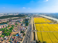 重磅！全省首个农资交易“交审分离”系统在东莞上线