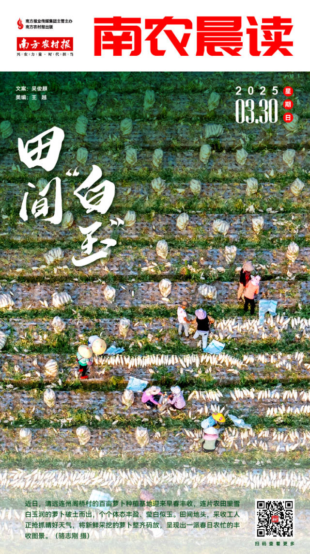 南方农村报 吴俊麒 制图