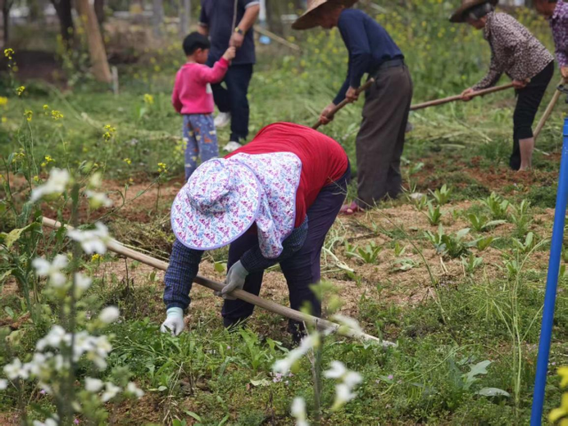 看似“笨拙”而缺乏效率的探索背后，是老人们“有事可想”“有事可做”。
