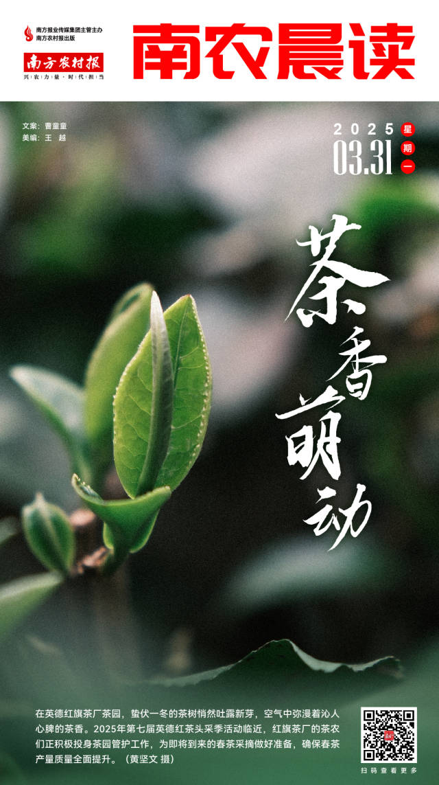 南方农村报 吴俊麒 制图