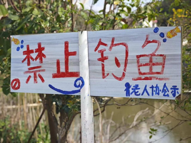 老人们“折腾起来”，做成一桩桩小事。