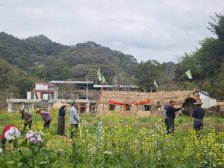 “折腾起来”，从化小山村的积极养老实践 | 乡“互”养老②