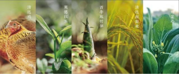 清遠(yuǎn)五大百億農(nóng)業(yè)產(chǎn)業(yè),。