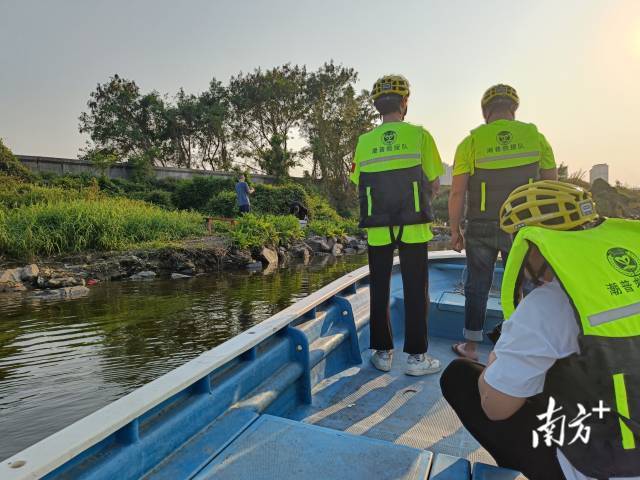 汕头市潮普救援队在练江巡河时发现鼋。 受访者供图