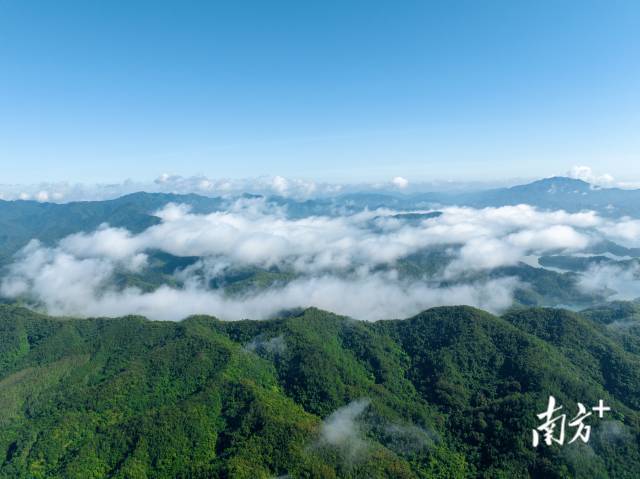 江门森林资源丰富，《规划》提出构建“三区”协同发展的总体布局。图为广东恩平七星坑省级自然保护区。江门市自然资源局供图