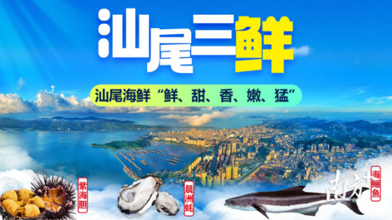 汕尾2025年將唱響汕尾“三鮮”（海鱺,、海膽、晨洲蠔）等“土特產(chǎn)”文章,。