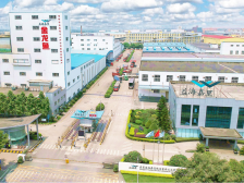 响应“健康管理年”，益海嘉里推出健康新食品｜“金牌莞味”大调研⑧