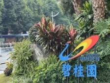 碧桂园，和时间赛跑｜冷眼看财报