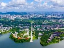 南方观察｜东莞首个科技金融集聚区何以吸引创投大咖齐聚