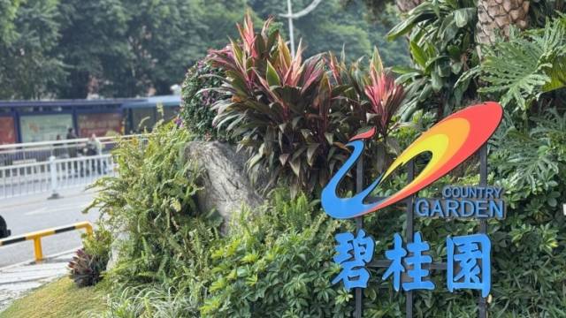 碧桂园，和时间赛跑｜冷眼看财报