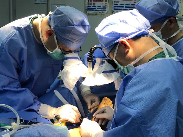 手足显微烧伤外科开展断肢再植术。 