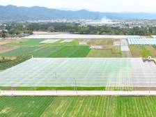 蕉岭法院：巧用“示范诉讼+类案调解”机制，让“巴掌田”变“连片田”