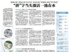 “拼”字当头激活一池春水｜速览《南方日报·徐闻视窗》33期