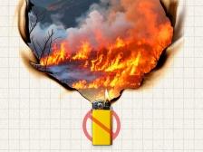 清明祭扫勿“过火”！这份森林防火指南请收好