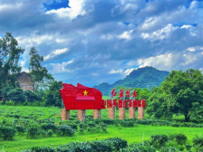 诚邀天下茶友共赴春日茶约！2025年第七届英德红茶头采季即将启幕