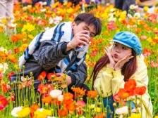 国家气象中心：清明假期广东天气可达“最舒适”级，适宜出游