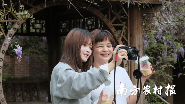 红旗茶厂吸引大批游客前来参观。 红旗茶厂吸引大批游客前来参观。