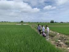 “百千万工程”的农业科技特派员力量