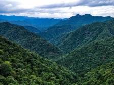 清明将至，广东全面部署今年三防工作