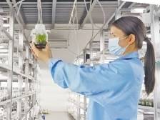 南方日报｜云浮现代农业年产值有望破千亿