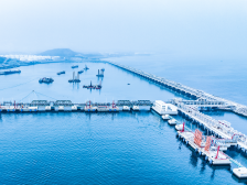 茂名滨海新区加速港口建设，赋能临港产业发展