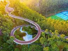 珠海2025年第1号林长令发布：高质量推进绿美珠海生态建设