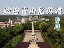 清明，踏遍青山忆英魂