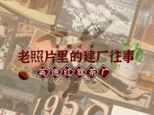 老照片里的建厂往事｜英德红茶头采季