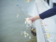 海葬策划师杨贺春：摆渡一个个家庭的思念｜南方深读