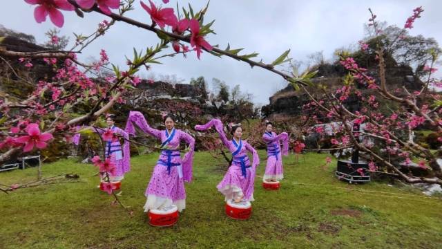 连平县长黄罡星邀您来旅游｜河源旅游发展大会