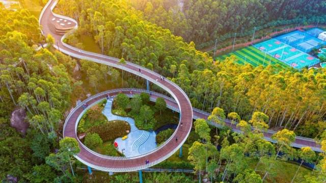 珠海2025年第1号林长令发布：高质量推进绿美珠海生态建设