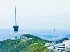 “出道即巅峰”！梧桐山低空花游火爆全城