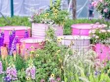 超49万人打卡！深圳春日限定花展，火爆了！