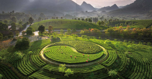 南方农村报 李嘉镓 制图