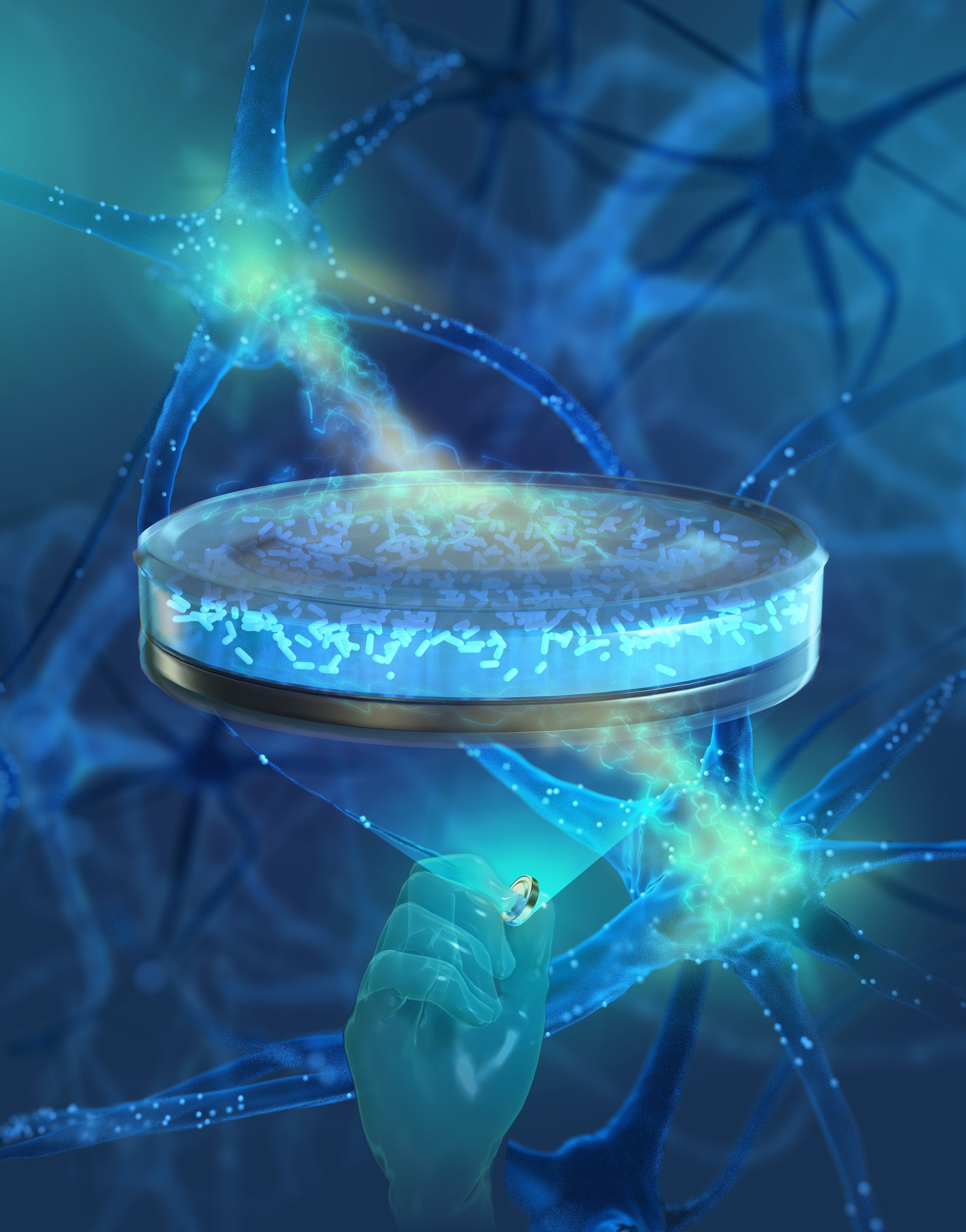 仅硬币大小！深圳科研团队研发“活体电池”