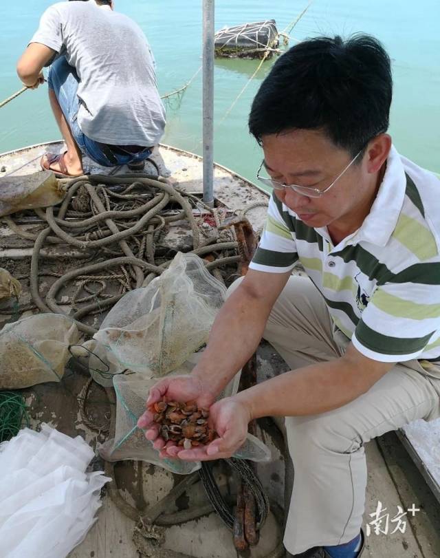 中國海警艦艇編隊5月14日在我釣魚島領海巡航