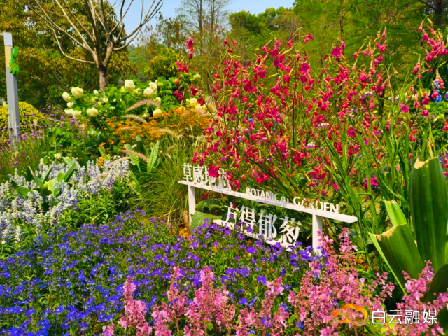 南方農(nóng)村報 巢芮 制圖