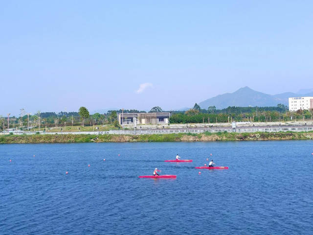 南方農(nóng)村報 巢芮 制圖