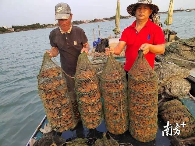 “找關(guān)系”入學(xué)不成功，費(fèi)用能退嗎？法院：全額返還