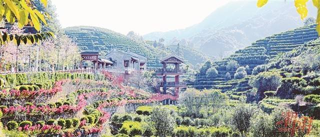 南方農(nóng)村報 巢芮 制圖