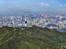 1314上海见！这可能是最会“整活”的招聘会