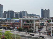 乡村CEO助集体经济收益扭亏为盈｜佛山十大改革案例