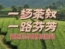视频｜一场茶叙，一路芬芳！英德红茶与世界持续对话