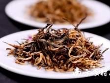 评论|向远、向新、向上，续写英德红茶新佳话